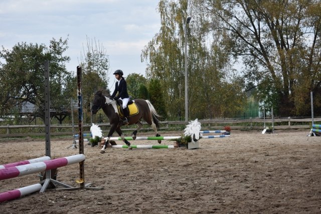bABIE lATO 2018